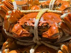 -新光酒家·河豚·海鲜·蟹料理(浦东店)