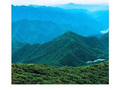 -牛背梁国家森林公园