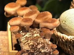 -大头椰·椰子鸡火锅(南宁万象城店)