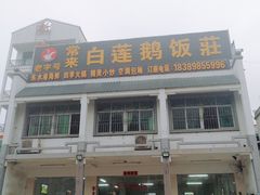 -常来老白莲鹅饭店(老城店)
