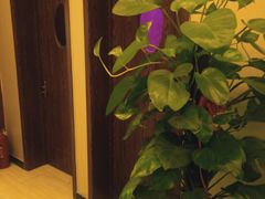 -汐悦汇足疗·星级·订制·唤醒SPA(西客站)