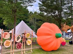 -云栖山谷野奢营地