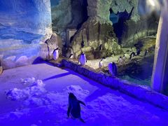 -成都浩海立方海洋公园