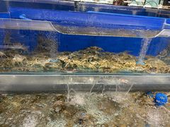 水产区-圣罗巴海鲜自助(黑金店)