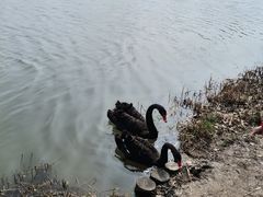 -昆山城市生态森林公园