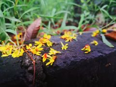 -拈一筷子·宜宾江湖菜(总店)