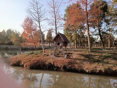 -宁波杭州湾国家湿地公园