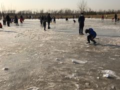-绿野森林乐园冰雪季