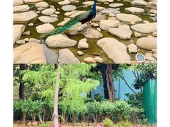 -无锡动物园·太湖欢乐园