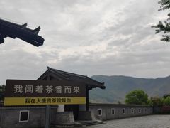-大唐贡茶院