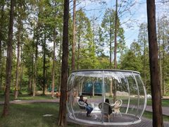 -黄海国家森林公园