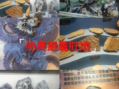 -河南自然博物馆