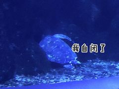 -台州海洋世界