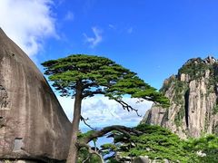 -黄山风景区