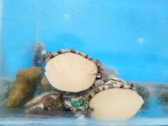 -宾朋海鲜特色美食餐厅·纯手工鲅鱼水饺(兴海路店)