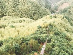 -鹿亭中村