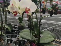-长春农博园