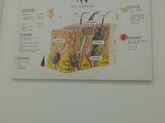 -一天下大厦