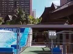 -亚马逊丛林水乐园