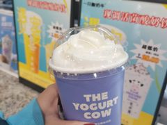 -一只酸奶牛(益州国际店)