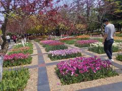 -石家庄市植物园
