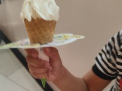 -野人先生现做冰淇淋(北京环宇荟店)