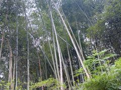 -韶山毛泽东同志故居