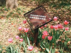 -黄兴公园