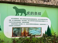 -深圳野生动物园