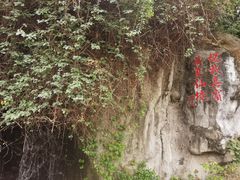 -厦门悦华酒店