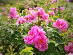 -白沙门生态公园