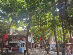 -海南分界洲岛旅游区