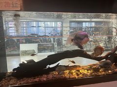 -弓舍射箭俱乐部(高新总店)