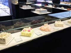 -BLACKSWAN黑天鹅(环球店)