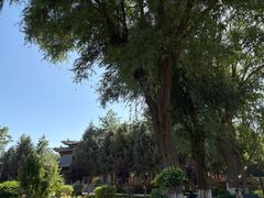 -张掖大佛寺景区