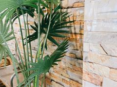 -四季合味椰子鸡(南山大冲店)