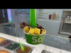 -Salud撒露欧洲冻酸奶(五道口购物中心店)