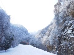 -西安祥峪森林公园