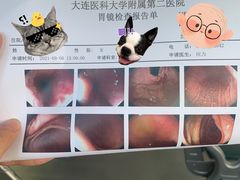 -大连医科大学附属第二医院(总院)