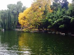 -钓鱼台国宾馆