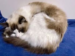 -零纪元VR体验馆·桌游(黄浦店)