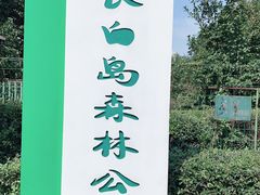 -长白岛森林公园