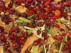 -老板恋上鱼(印象城店)