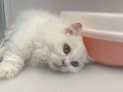 -昆山招商花园城