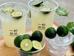 -一杯潮茶·专注潮汕茶饮(朝阳庄店)