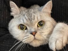 -贝康宠物医院·犬猫全科·小动物特色诊疗中心(东环路店)