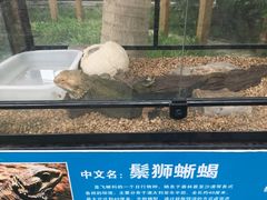 -白洋淀景区