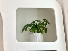 -万达广场(广州番禺店)