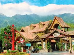 -深圳湾木棉花酒店