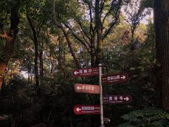 -灵谷景区